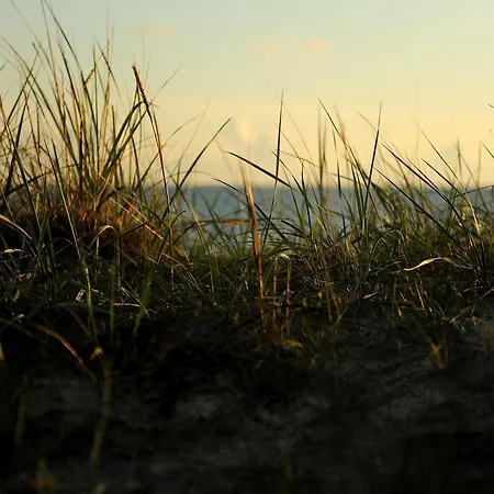 Aldeamento Turístico Roosta Village Noarootsi