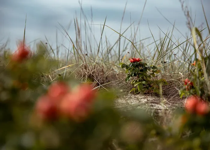 Roosta Village Feriepark Noarootsi