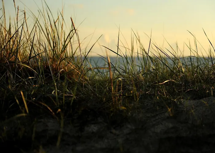 Kompleks wypoczynkowy Roosta Village Noarootsi