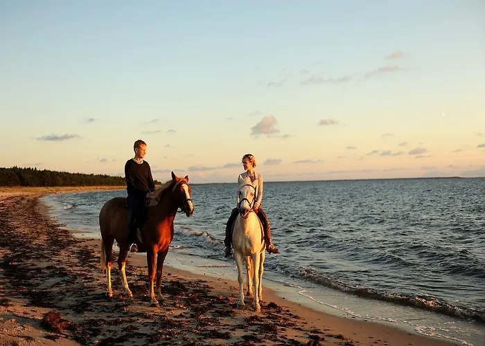 Prázdninový areál Roosta Village